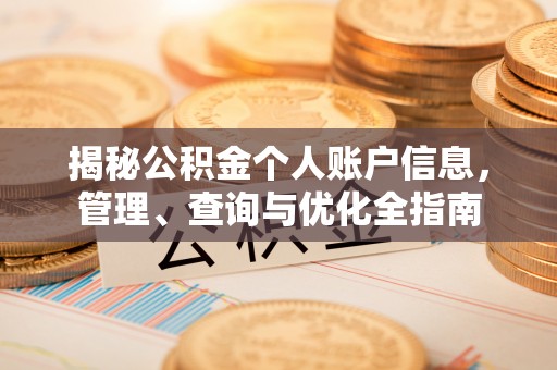 二仑揭秘公积金个人账户信息，管理、查询与优化全指南