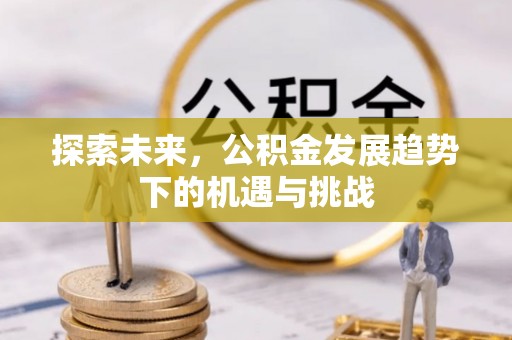 二仑探索未来，公积金发展趋势下的机遇与挑战