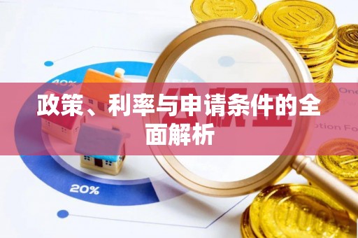 二仑政策、利率与申请条件的全面解析