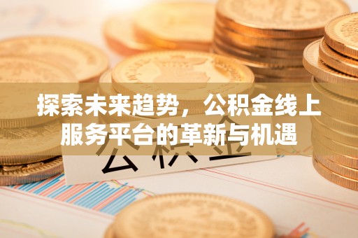 二仑探索未来趋势，公积金线上服务平台的革新与机遇