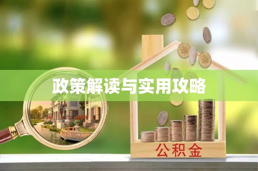 二仑政策解读与实用攻略