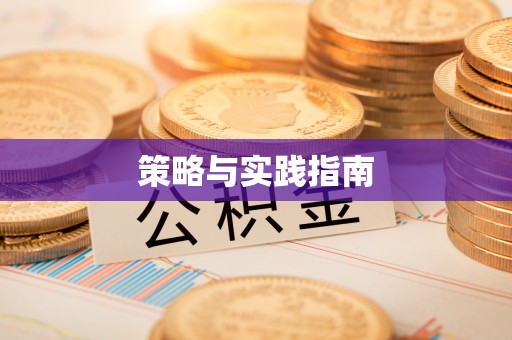 二仑策略与实践指南